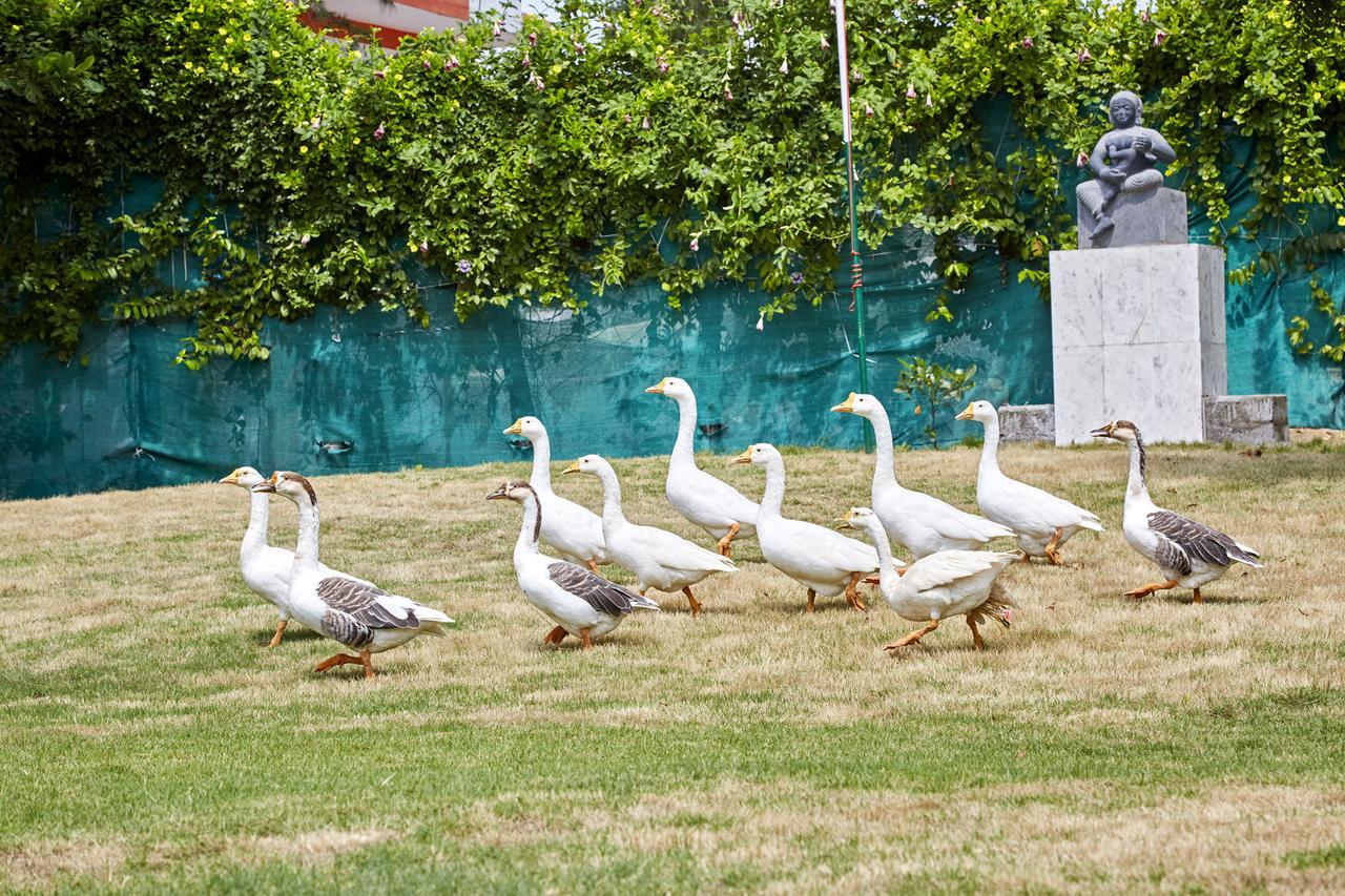 Joe Beach Resort Mamallapuram Dış mekan fotoğraf