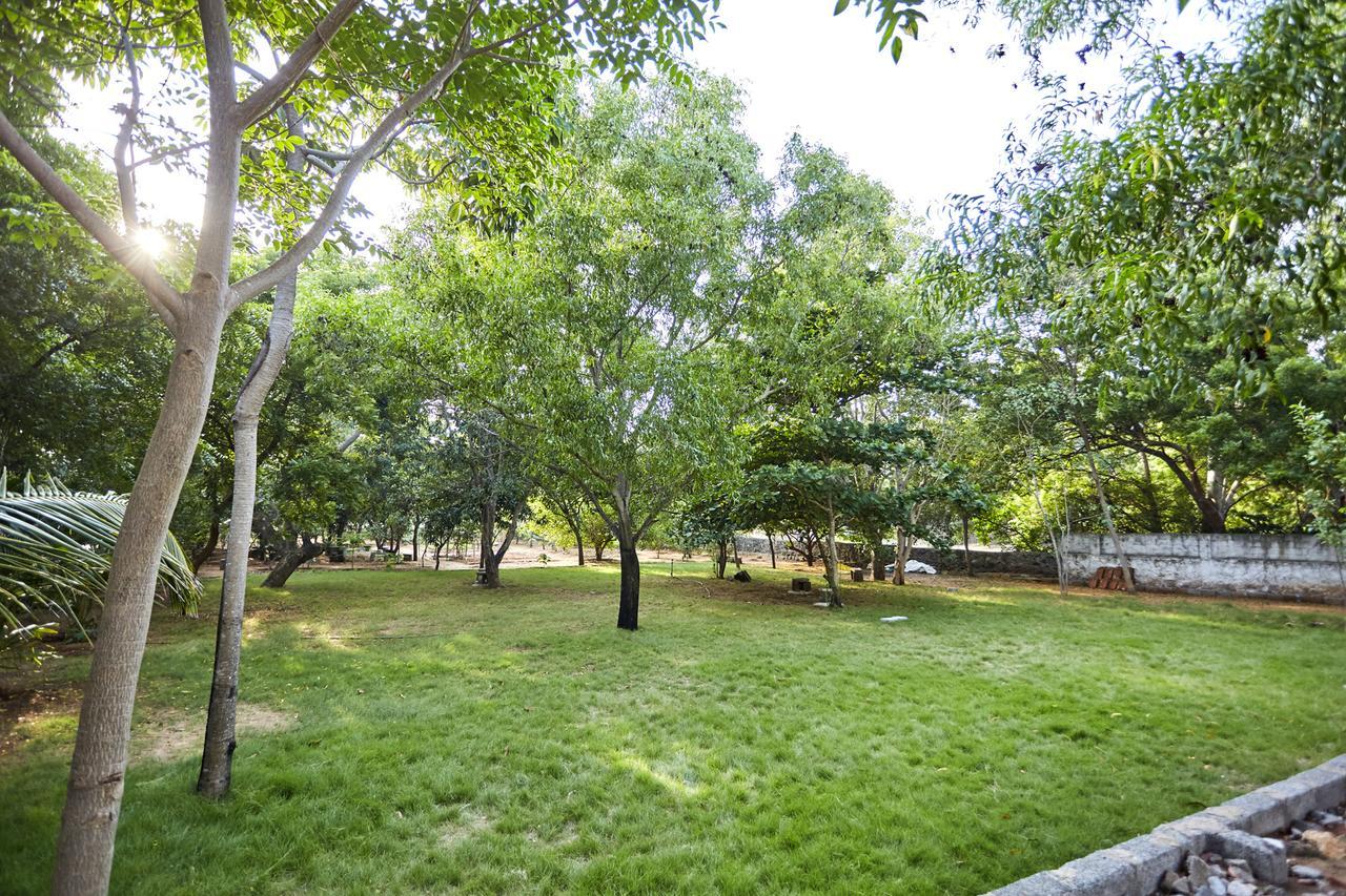 Joe Beach Resort Mamallapuram Dış mekan fotoğraf
